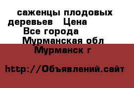 саженцы плодовых деревьев › Цена ­ 6 080 - Все города  »    . Мурманская обл.,Мурманск г.